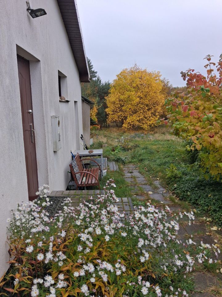 dom wolnostojący, 3 pokoje Drzonowo. Zdjęcie 11