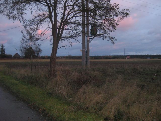 Działka rolna Bryzgiel. Zdjęcie 1