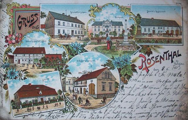 gospodarstwo Różyniec. Zdjęcie 2