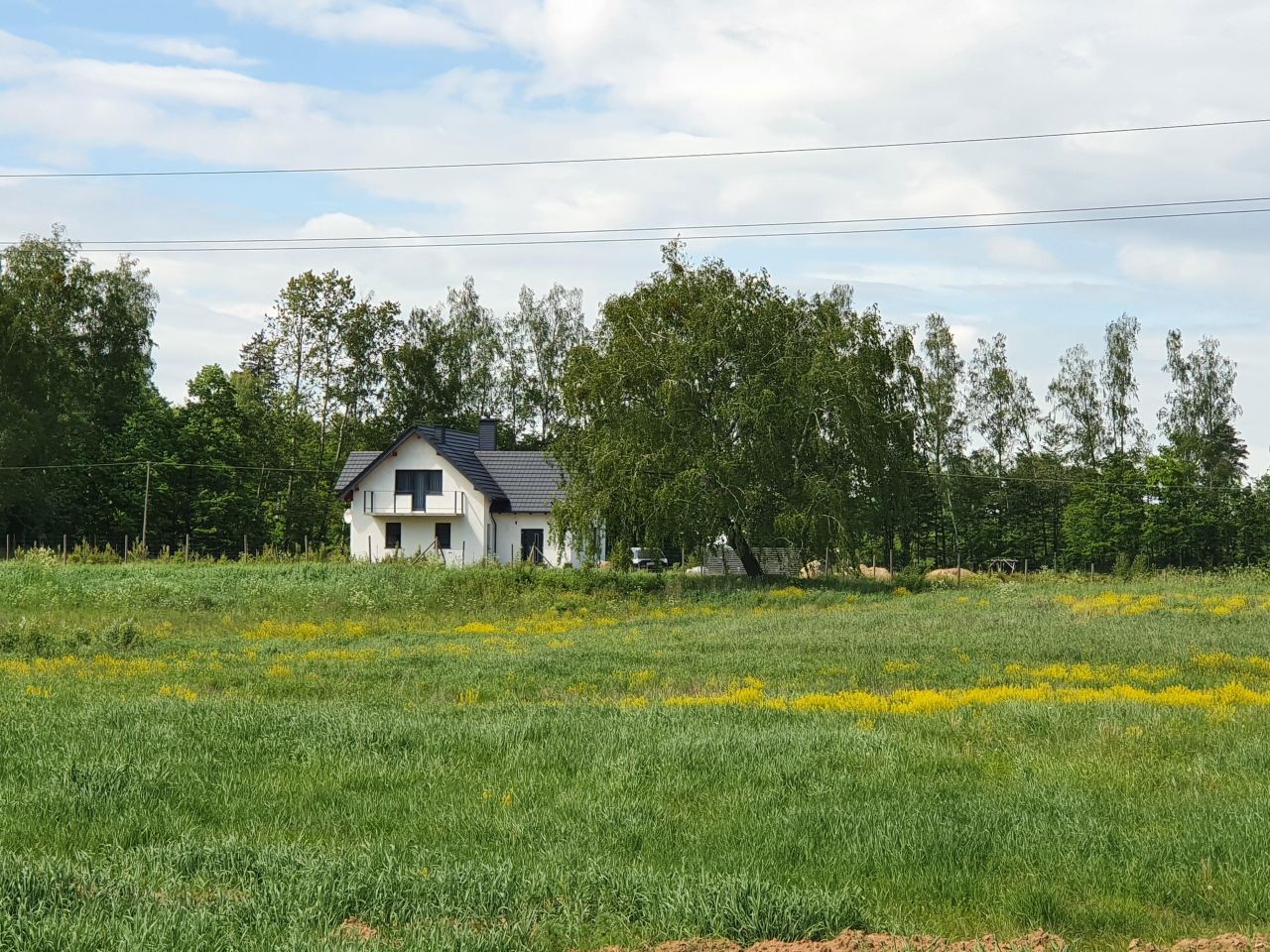 Działka rolno-budowlana Czerwonki. Zdjęcie 5