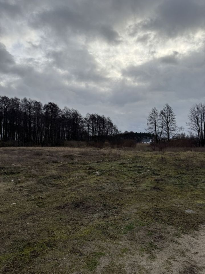 Działka budowlana Rynarzewo. Zdjęcie 3