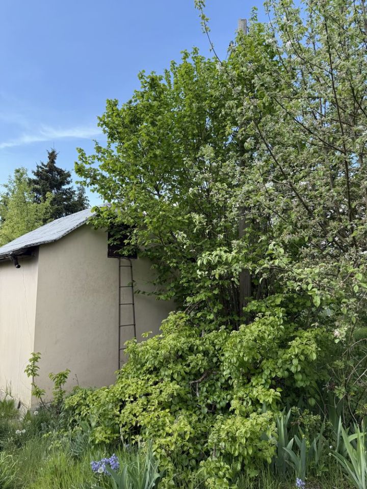 Działka rod Szczecin Pogodno, ul. Stanisława Ignacego Witkiewicza. Zdjęcie 7