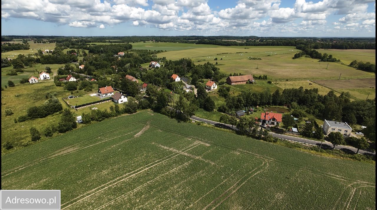 Działka budowlana Wilkowo. Zdjęcie 6