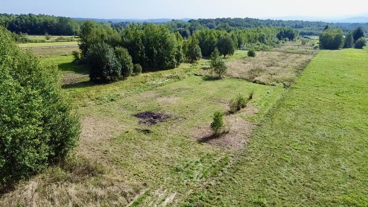 Działka budowlana Cieklin. Zdjęcie 6