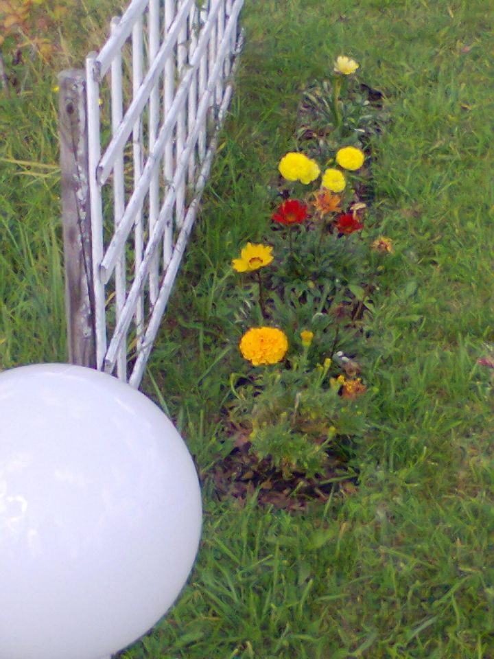 Działka rekreacyjna Częstochowa Błeszno, ul. Kusocińskiego. Zdjęcie 7