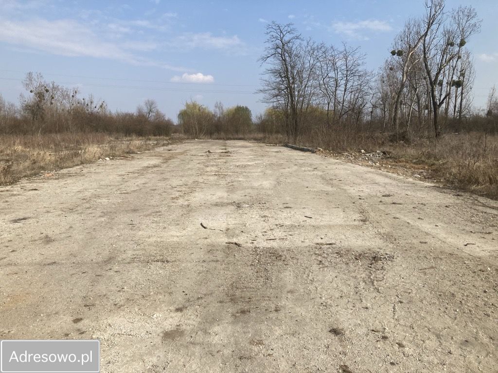 Działka inwestycyjna Rakoszyce. Zdjęcie 5