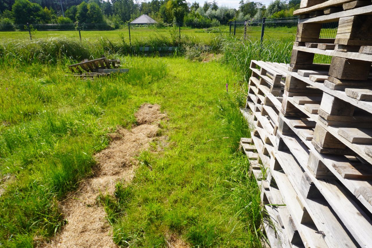 Działka budowlana Boszkowo-Letnisko, ul. Piaskowa. Zdjęcie 2