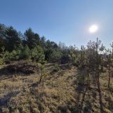 Działka leśna Dębowce. Zdjęcie 2