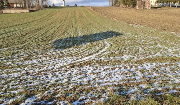 Działka budowlana Klimontów