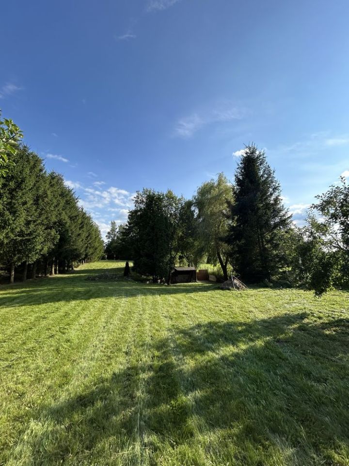 Działka rolno-budowlana Brajniki. Zdjęcie 5