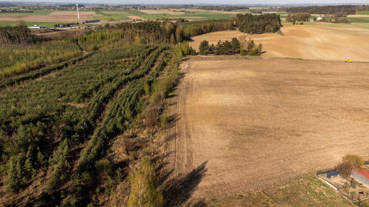 Działka budowlana Kiełpin Jesionowo. Zdjęcie 11