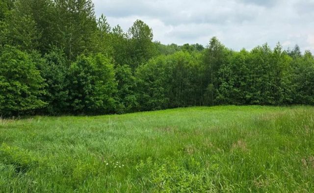 Działka inwestycyjna Golcowa. Zdjęcie 8