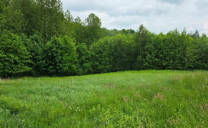 Działka inwestycyjna Golcowa. Zdjęcie 8