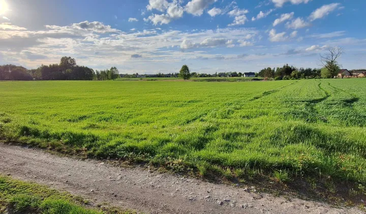 Działka rolno-budowlana Jawidz