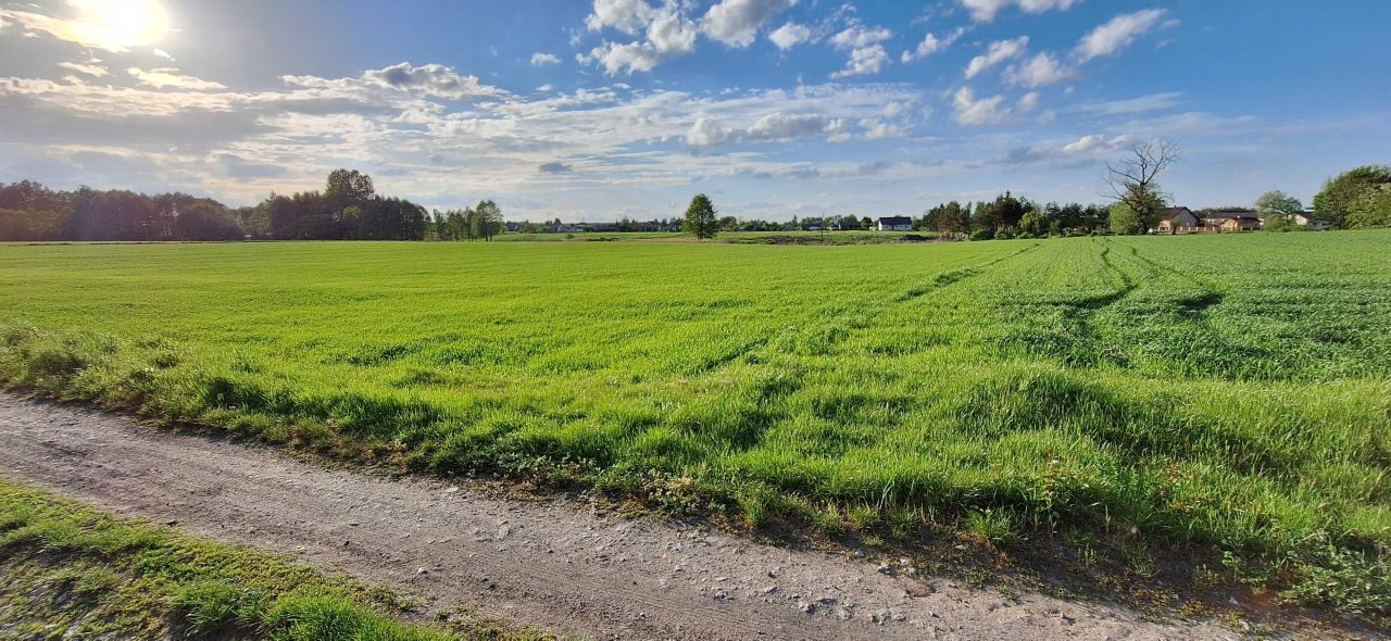 Działka rolno-budowlana Jawidz