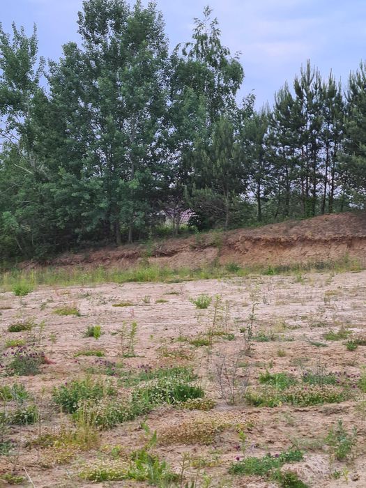 Działka budowlana Brodnica, ul. Wczasowa. Zdjęcie 5