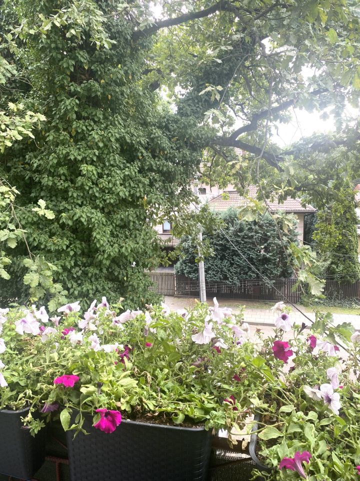 Mieszkanie 2-pokojowe Zielonka, ul. Krzywa. Zdjęcie 16