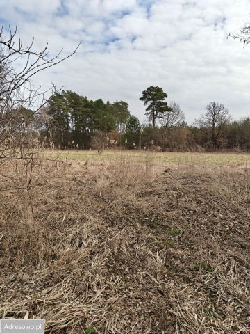 Działka rolna Górnica. Zdjęcie 1