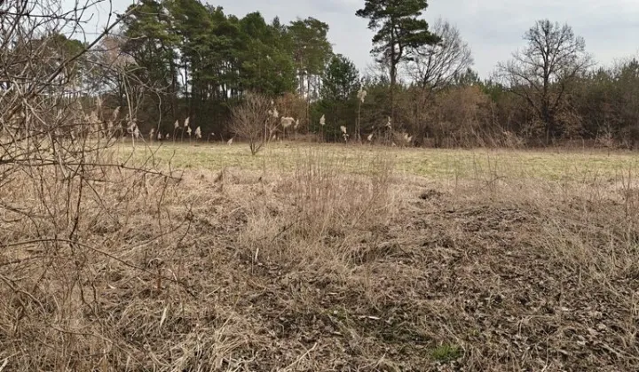 Działka rolna Górnica