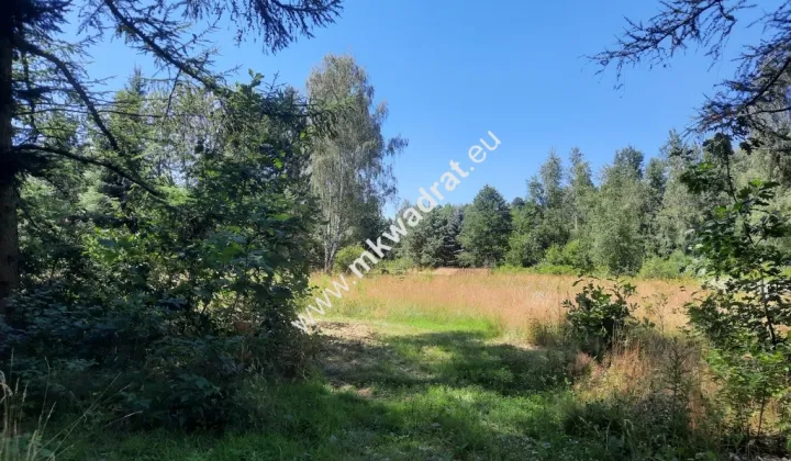 Działka budowlana Strzeniówka