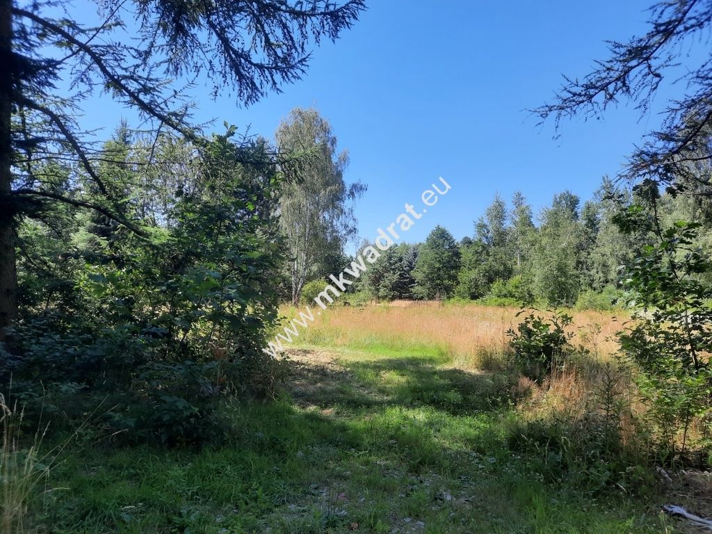 Działka budowlana Strzeniówka. Zdjęcie 1