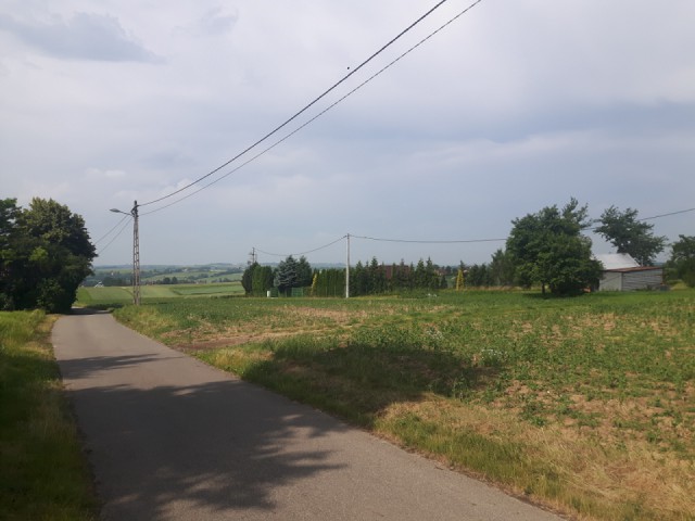 Działka rolno-budowlana Sieciechowice. Zdjęcie 1