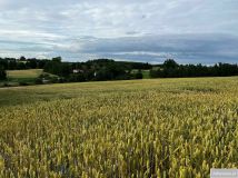 Działka rolna Wilkiejmy. Zdjęcie 3