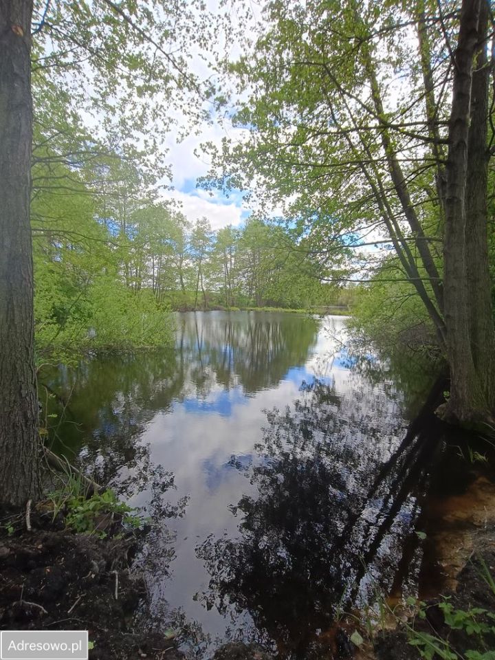 Działka rekreacyjna Miłachówek. Zdjęcie 2