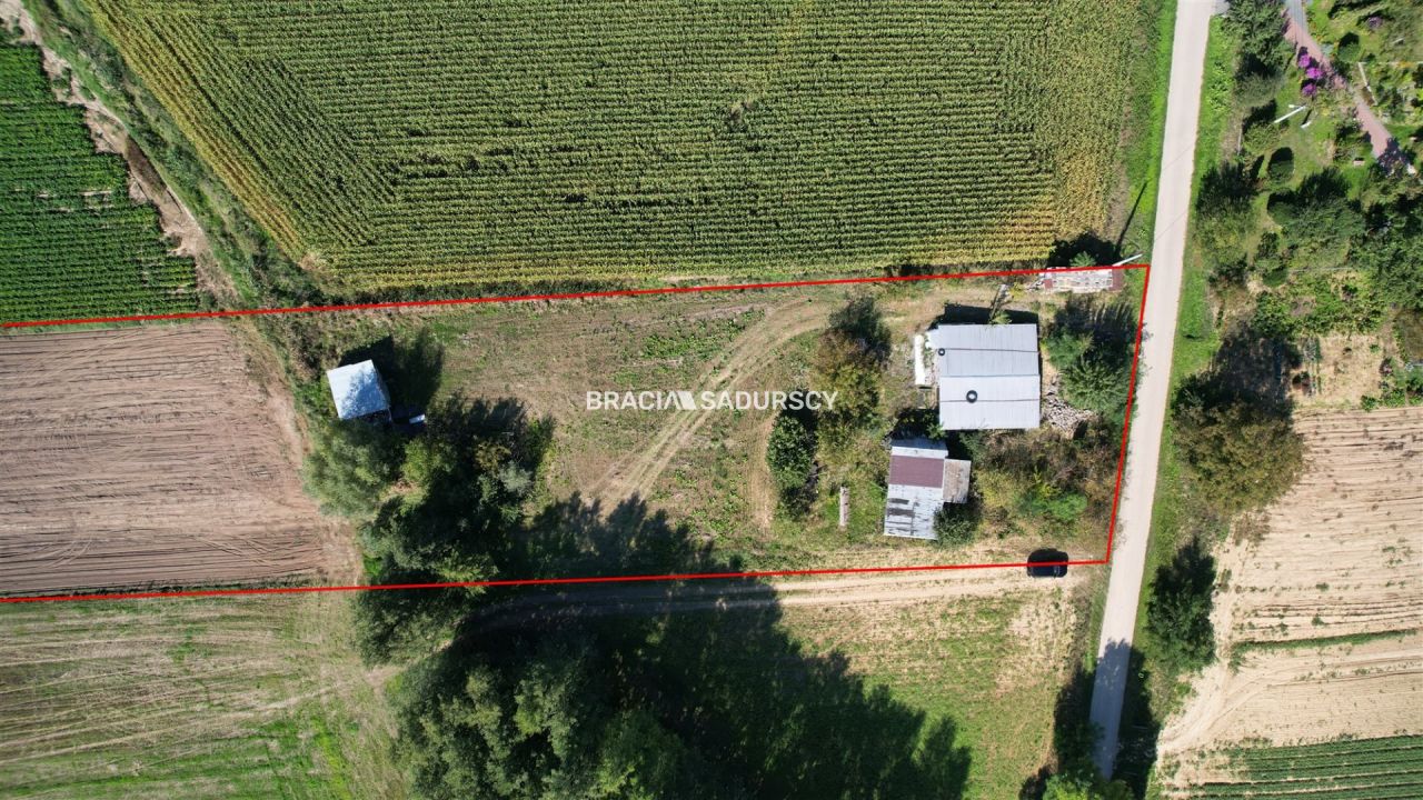 Działka rolna Kazimierza Wielka. Zdjęcie 4