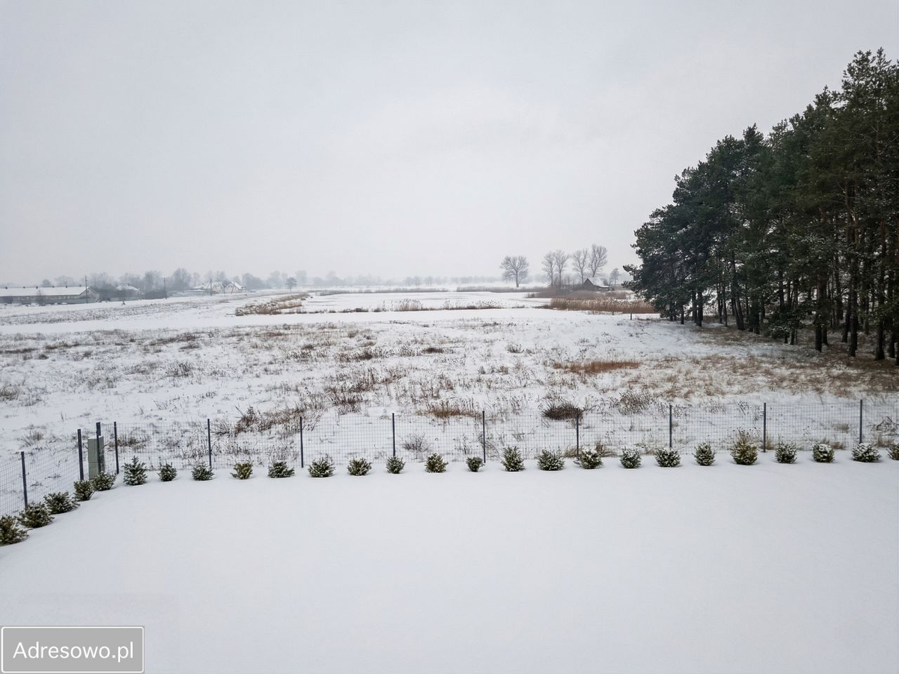 dom wolnostojący, 4 pokoje Dzierżów. Zdjęcie 12