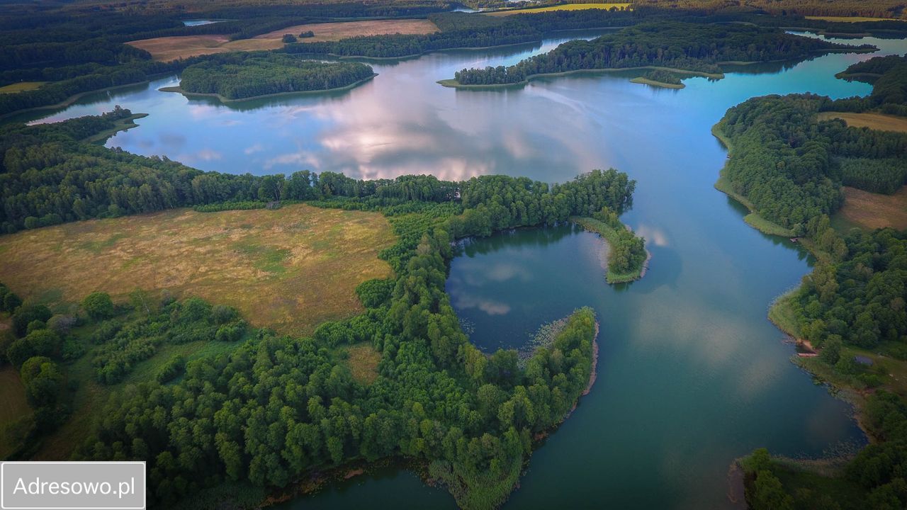 Działka inwestycyjna Łubowo. Zdjęcie 7