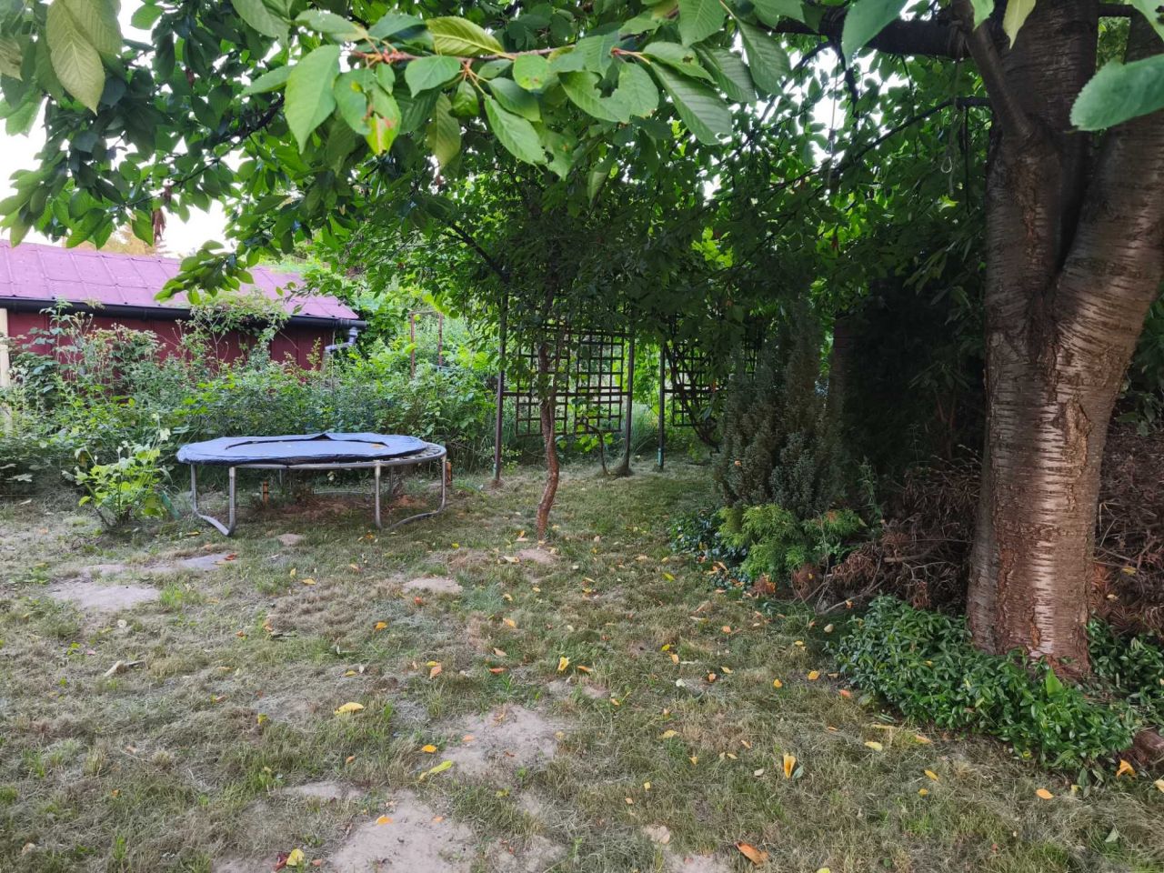 Działka rod Rzeszów. Zdjęcie 3