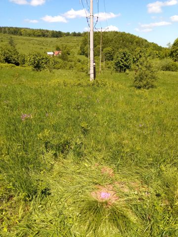 Działka budowlana Kowary Podgórze, ul. Podgórze. Zdjęcie 1