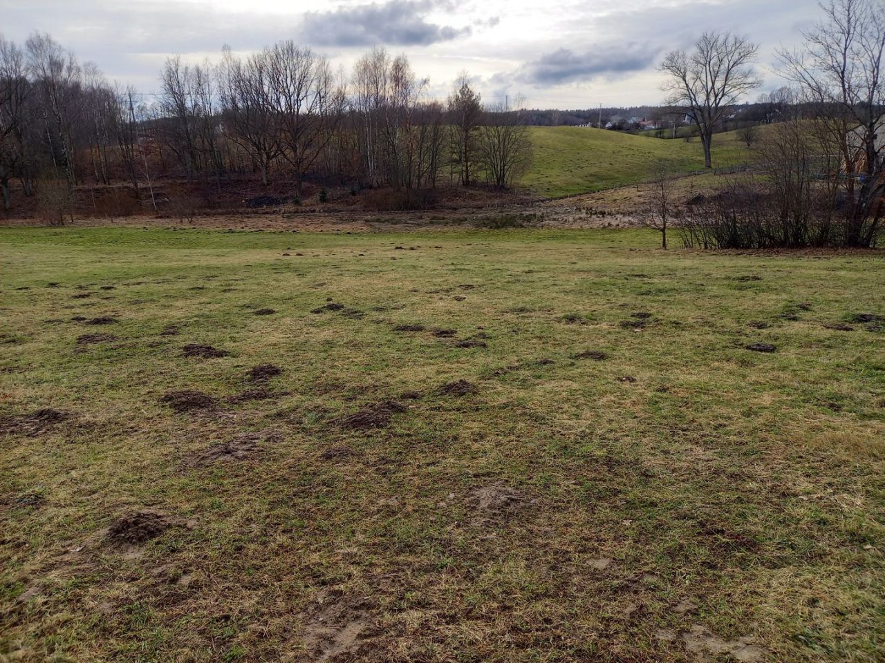 Działka budowlana Kobysewo, ul. Przodkowska. Zdjęcie 10