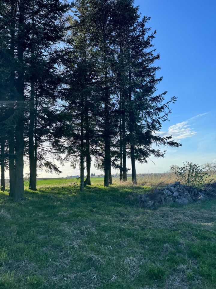 dom wolnostojący Alojzów. Zdjęcie 7