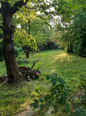 Działka rod Czeladź Kolonia Rożka, ul. Węglowa. Zdjęcie 1