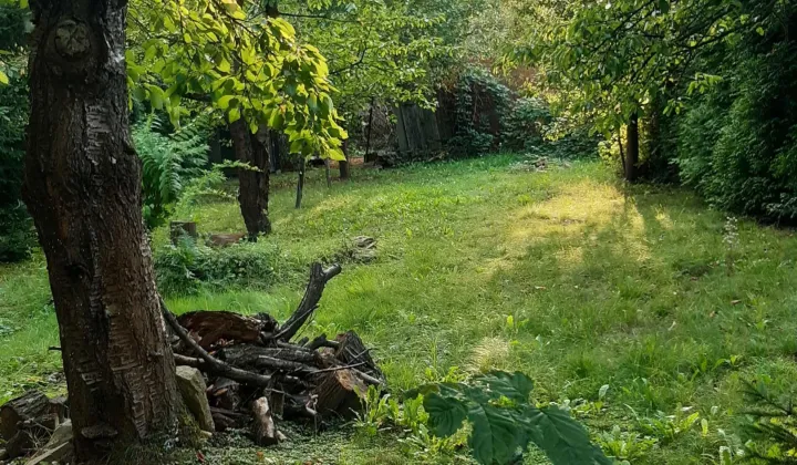 Działka rod Czeladź Kolonia Rożka, ul. Węglowa