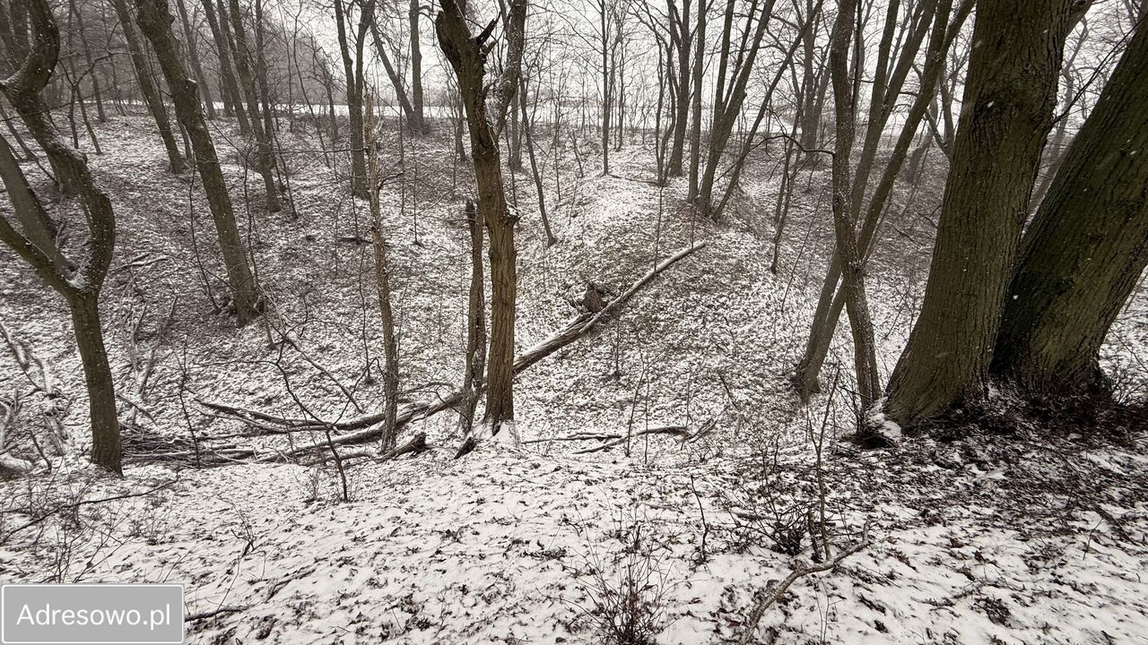 Działka budowlana Ostromecko. Zdjęcie 2