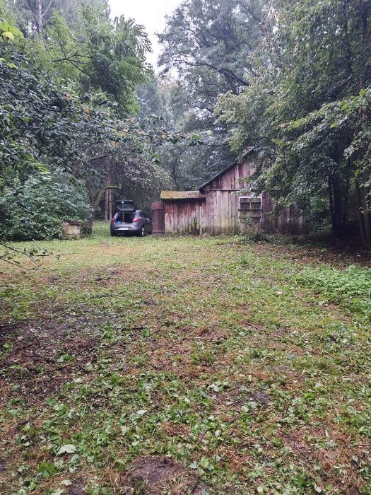 Działka siedliskowa Ludwinowo. Zdjęcie 7