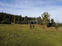 Działka rekreacyjna Kurki. Zdjęcie 4