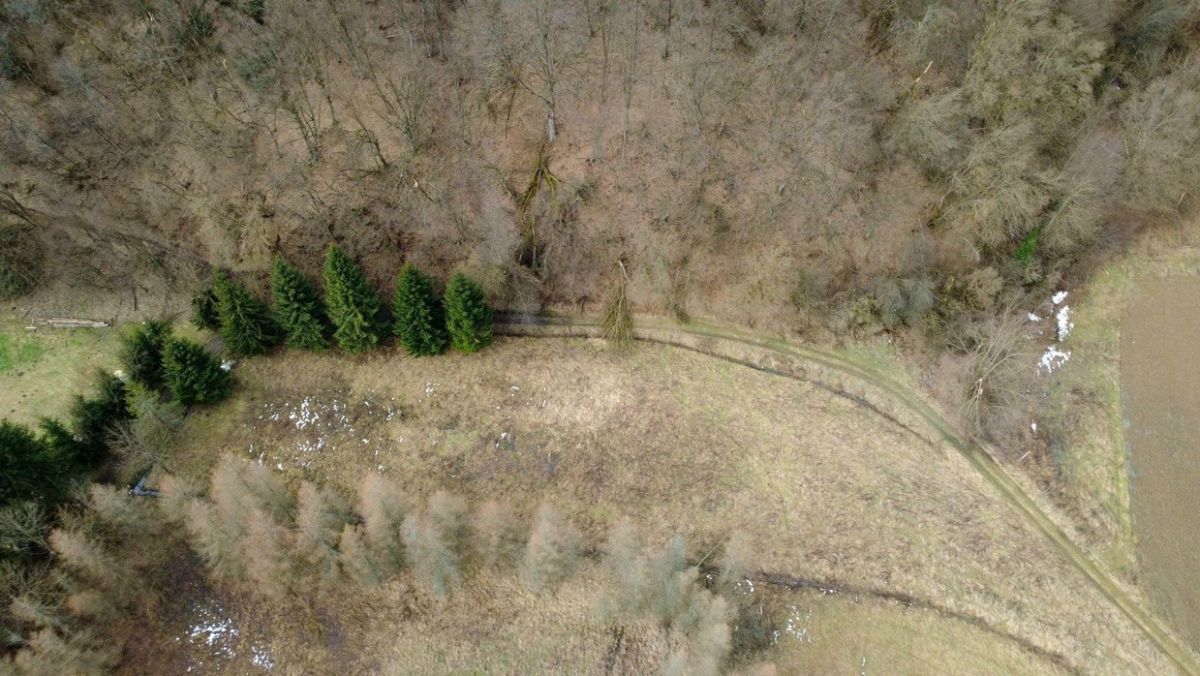 Działka budowlana Tyrawa Solna. Zdjęcie 6