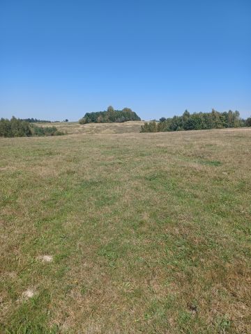 Działka rolno-budowlana Korczyna. Zdjęcie 9