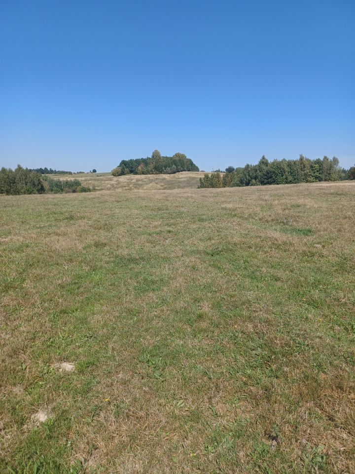 Działka rolno-budowlana Korczyna. Zdjęcie 9