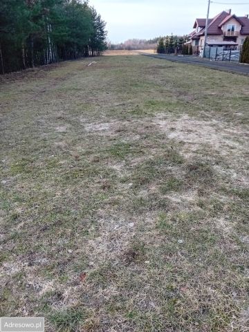 Działka budowlana Ostrowik. Zdjęcie 1
