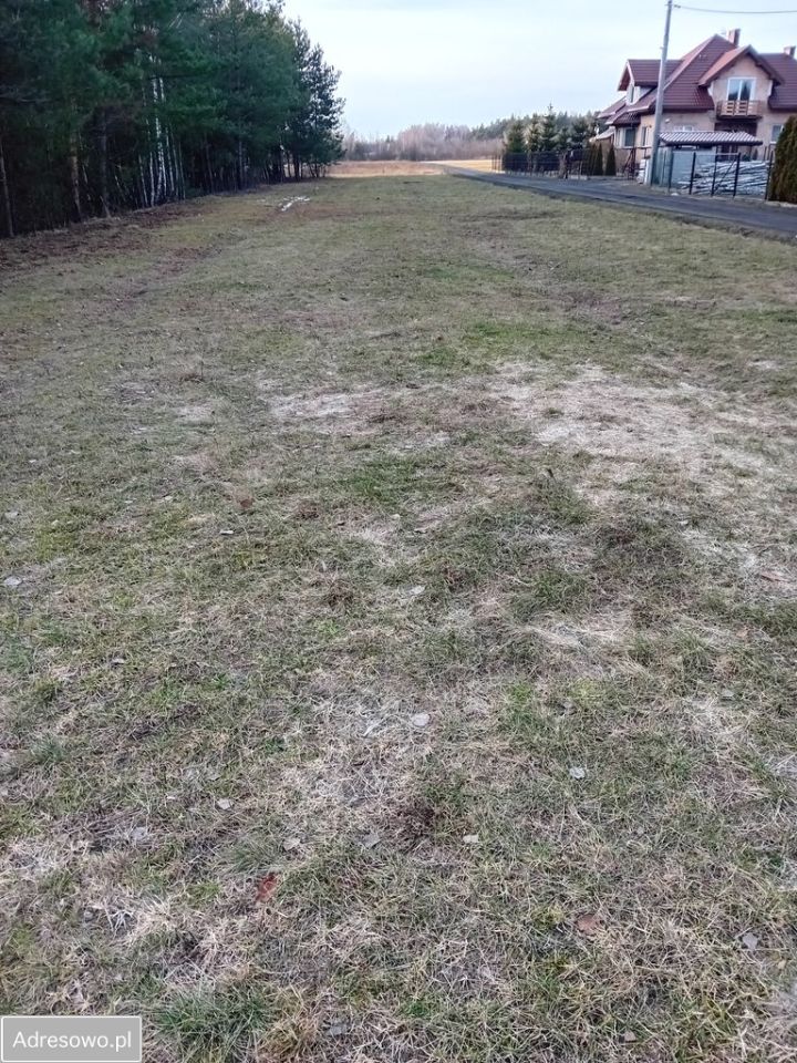 Działka budowlana Ostrowik. Zdjęcie 1