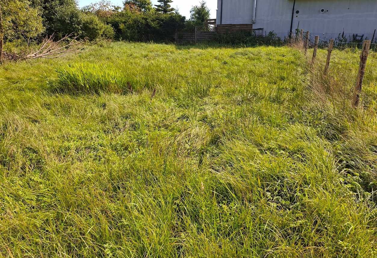 Działka budowlana Augustów, ul. Sitowia. Zdjęcie 2