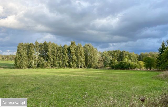 Działka rolno-budowlana Dziubiele. Zdjęcie 1