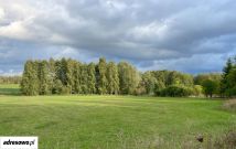 Działka budowlana Dziubiele. Zdjęcie 1
