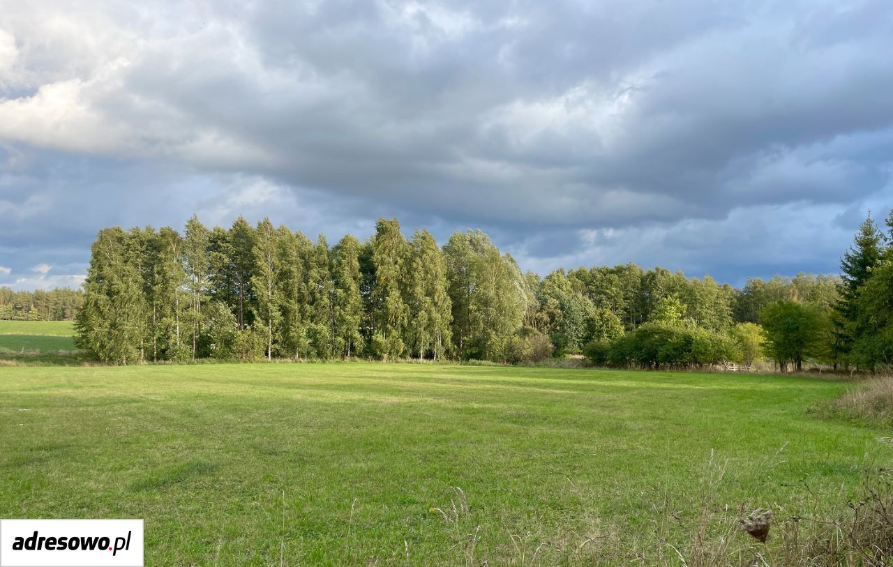 Działka budowlana Dziubiele. Zdjęcie 2
