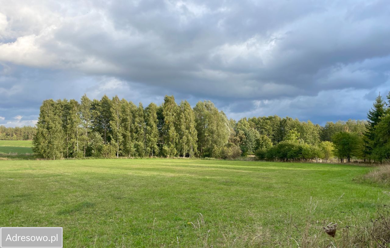 Działka rolno-budowlana Dziubiele